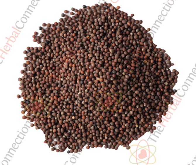 Mustard Seed Brown Organic