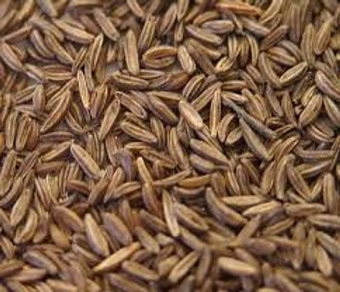 Caraway Seed Whole Organic