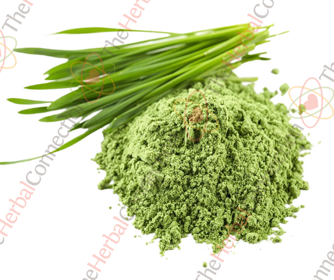 Wheat Grass Powder Organic