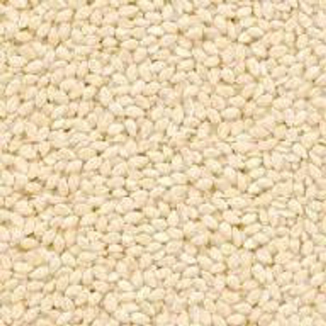 Organic Sesame Seeds White