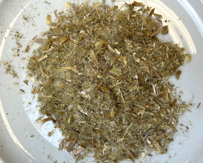 Blessed Thistle Herb Organic