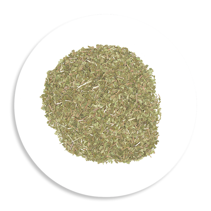 Fresh Lemon Myrtle leaves — just harvested from Northern Rivers NSW, available wholesale from The Herbal Connection