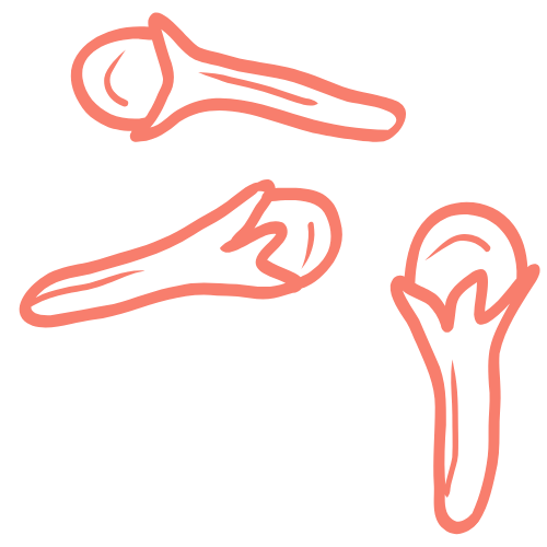 Chai Spice Mix icon