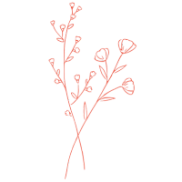 Plant name origin icon