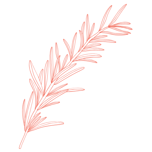 Syrup recipe icon
