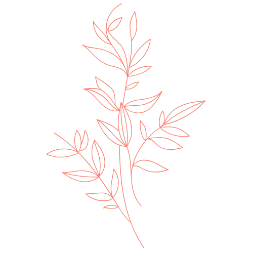 Berry taste icon
