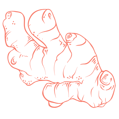 Plant parts icon
