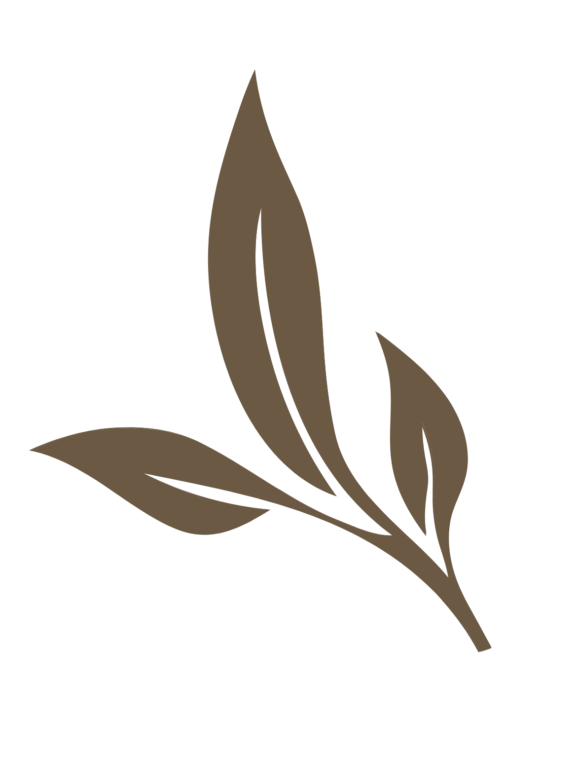 Tea leaf