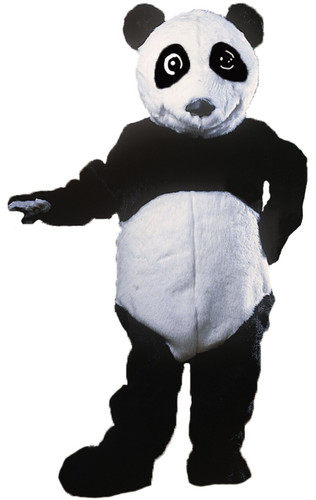 PANDA BEAR  AS PICTURED