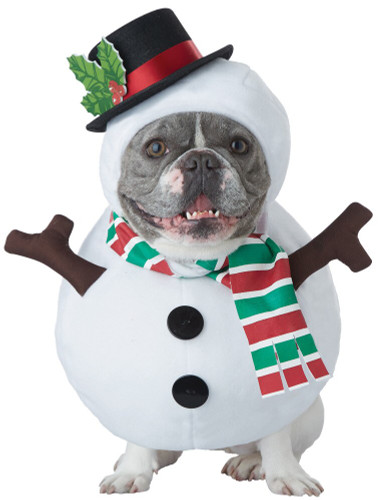 SNOWMAN DOG LG