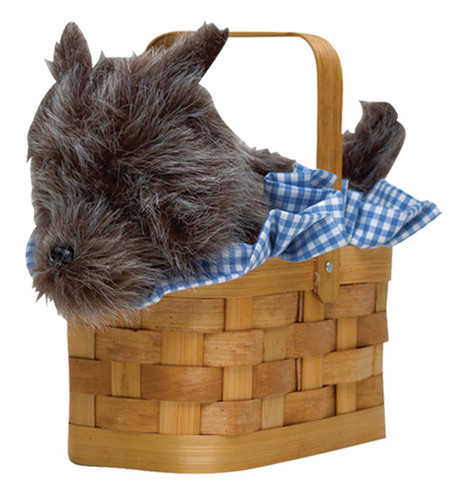 PURSE DOGGIE BASKET