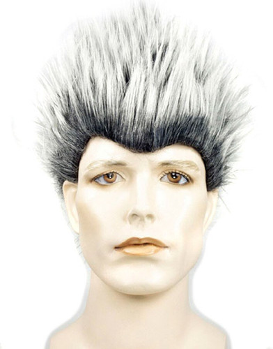 PORCUPINE WIG