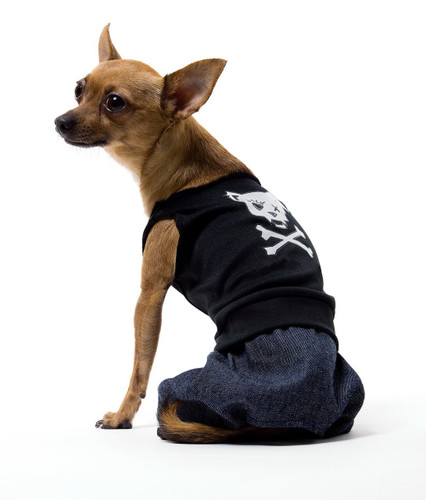BAD BOY DOG COSTUME SMALL
