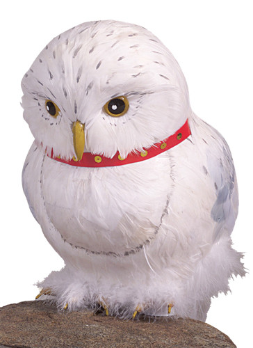 HARRY POTTER OWL HEDWIG