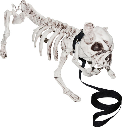 SKELETON DOG