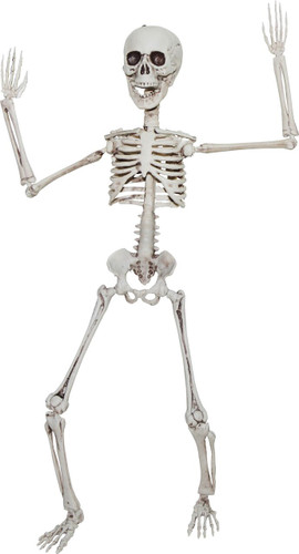 SKELETON 20 IN POSEABLE