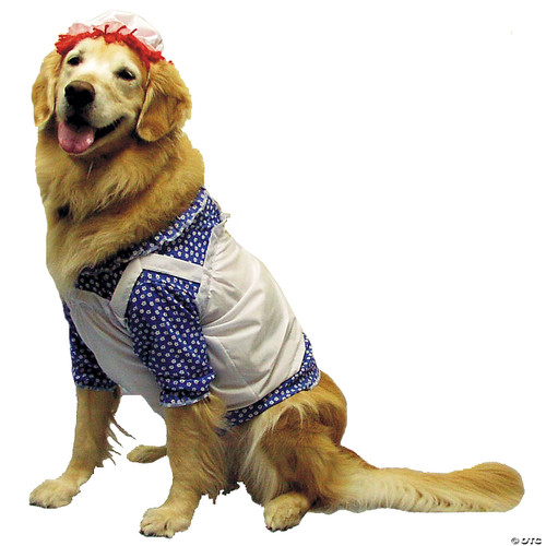 Raggedy Ann Pet Costume