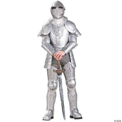 Knight In Shining Armour Costume For Men
