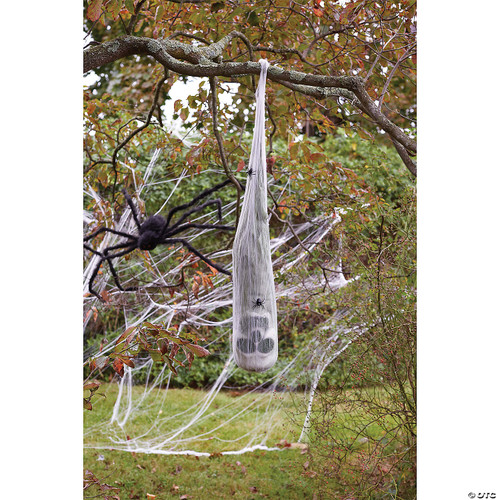 Skull in Spider Cocoon