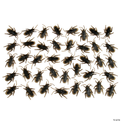 Cockroaches - Bag Of 48