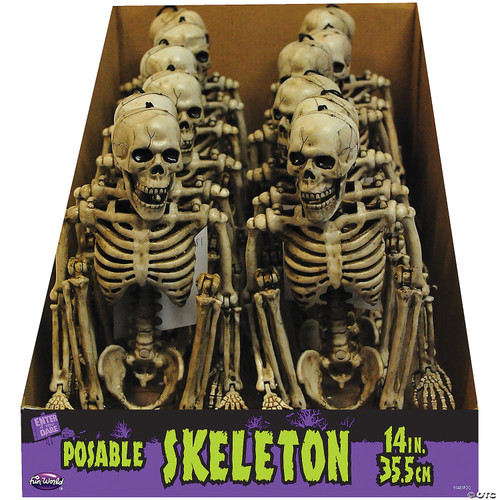 Posable Skeleton 14"