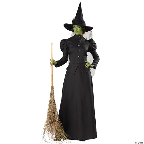 Plus Size Classic Deluxe Witch Costume