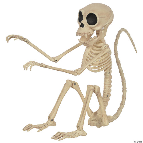 Monkey Skeleton