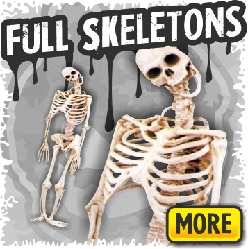 full-skeletons-halloween-props.png