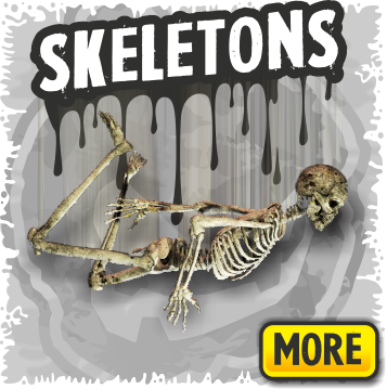 Halloween Skeletons, Skulls & Bones Decorations