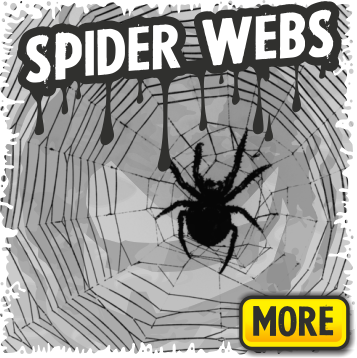 Spiderwebs and Spider Decorations for Halloween