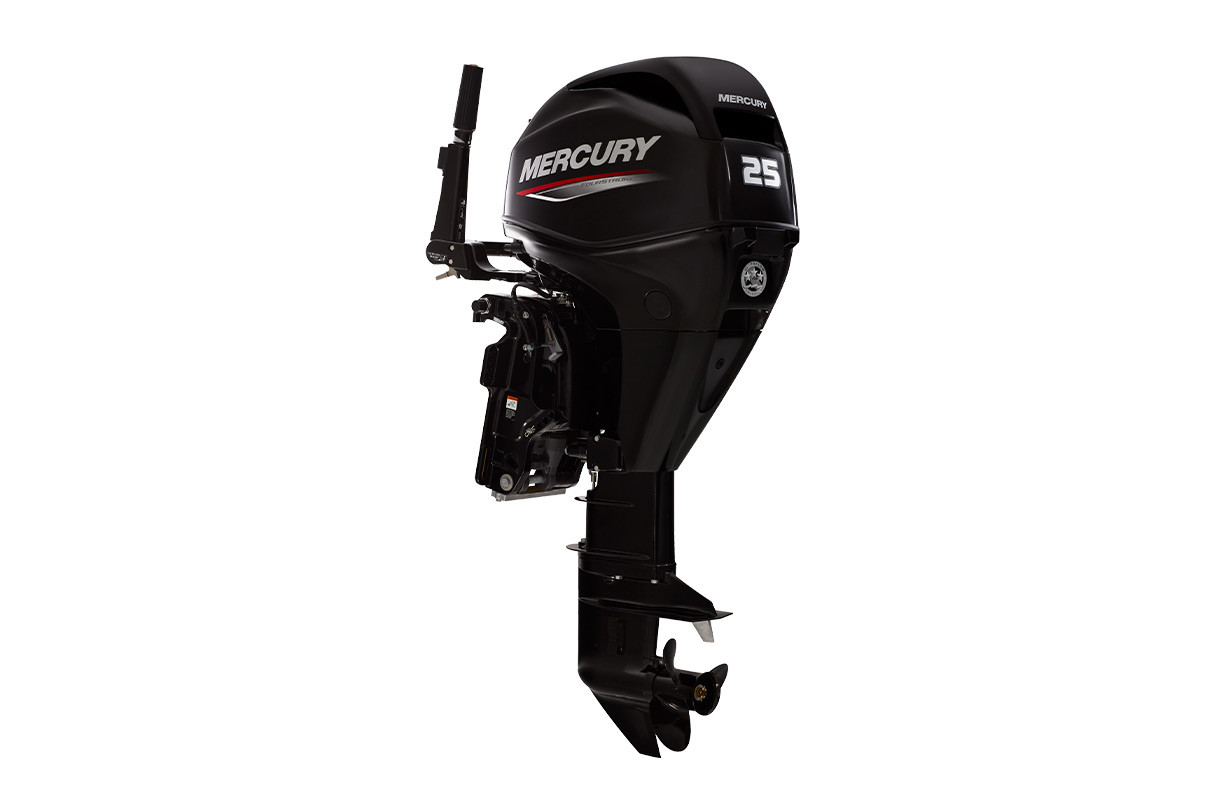 https://cdn11.bigcommerce.com/s-5a502/images/stencil/1280x1280/products/4094/23609/Mercury-25-Portable-Outboard--Engine-Port__48379.1677176761.jpg?c=2&utm_source=chatgpt.com