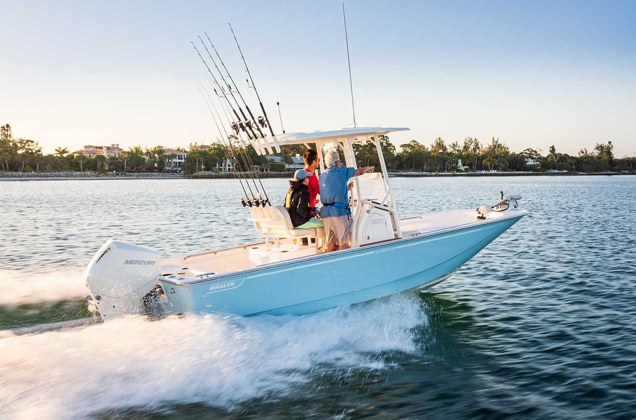 Boston Whaler Montauk For Sale