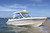 Boston Whaler 280 Vantage Twin Mercury Outboard on the Water.