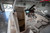SOLD | Solara S-250 Center Walkaround | Light Grey | Yamaha 300hp Outboard | S-250 CW | 2025 | 25W22