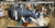Yamaha 150 HP Scratch and Dent Yamaha 150 HP Scratch and Dent