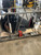 Yamaha 200hp V Max Sho Outboard | Remote Mechanical, 25" Shaft | VF200XB | Scratch & Dent | 3125