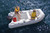 Achilles HB-315LX rigid hull inflatable boat with outboard.