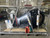 Yamaha 250hp Outboard. VF250XB V MAX SHO Scratch and Dent
