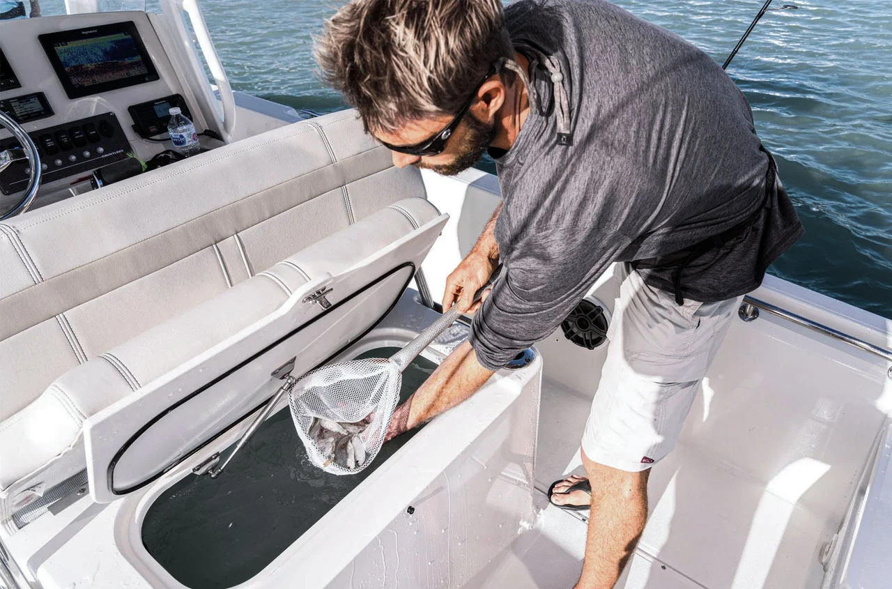 Livewell bait tank on a Boston Whaler