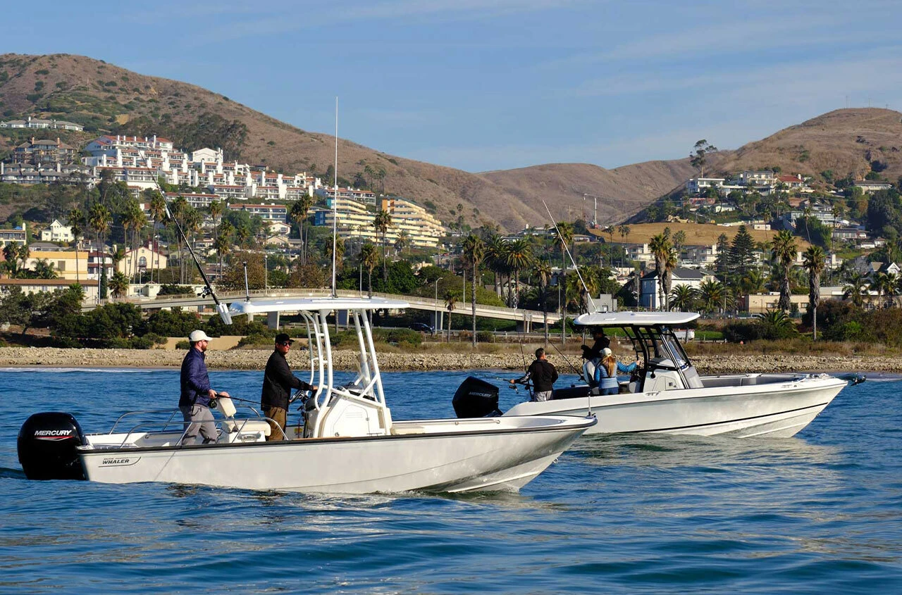 Boston Whalers off the Ventura Coast.