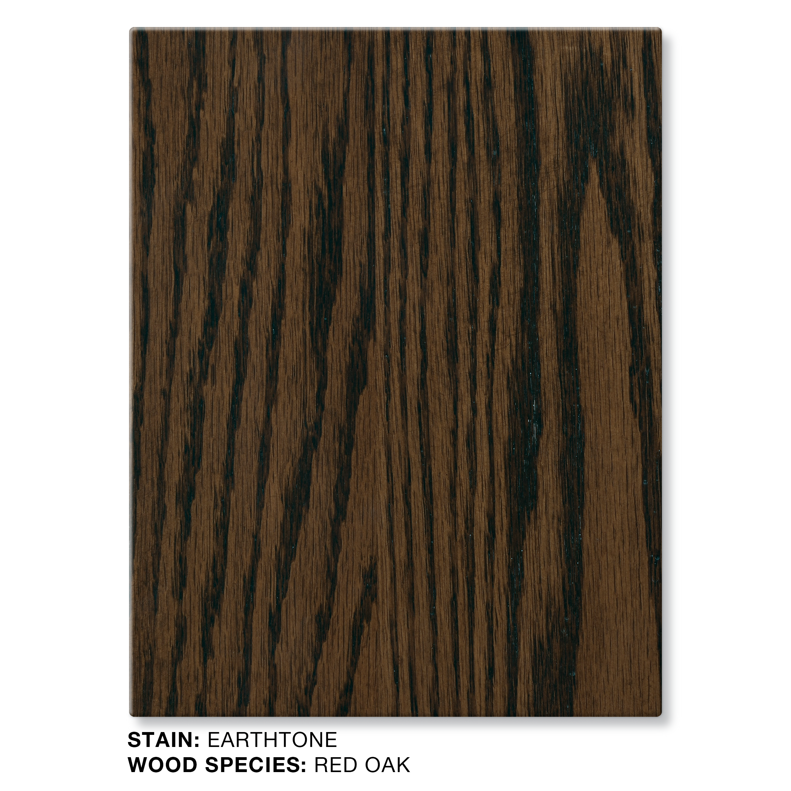 #EARTHTONE