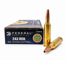 Federal | 243 Winchester 85gr HP | 20 Rounds