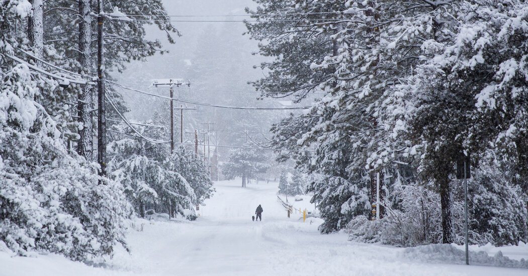 Weather Delay's In Shipping