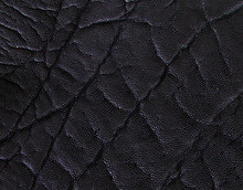 Black Elephant Matte Finish - IN STOCK