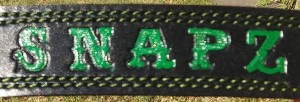snapz.jpg
