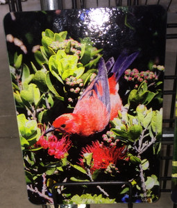 Apapane Glass Cutting Board 7.75in x 10.75in