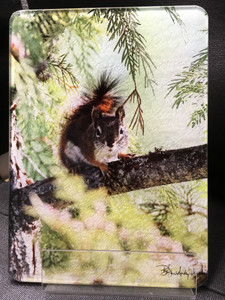 Red Squirrel MT- Glass Cutting Board - 7.75in x 10.75in
