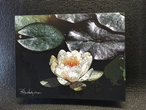 10 White Water Lily Blank Note Cards
