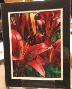 Red Asian Lily - Matted Print 11 x 14
