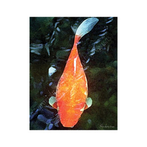 10 Big Red Goldfish  Blank Note Cards